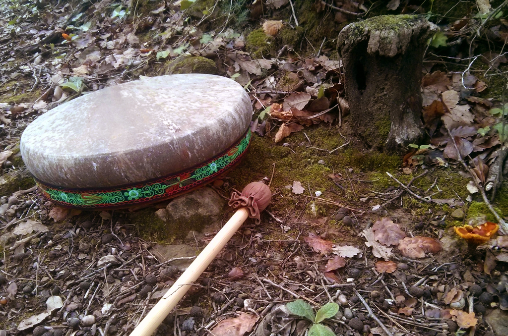 Un paseo chamanico por el bosque otoñal